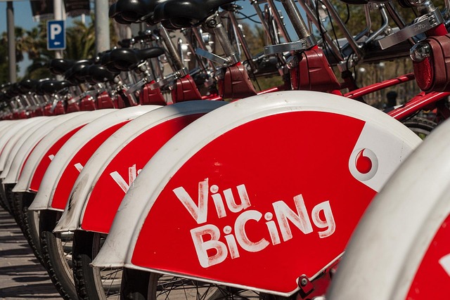 Fra paris til københavn: Dame citybikes og deres europæiske eventyr